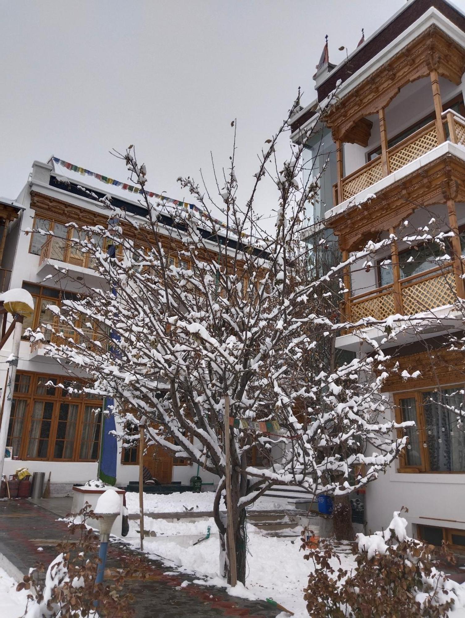 Hotel Jigmet, Λεχ Εξωτερικό φωτογραφία